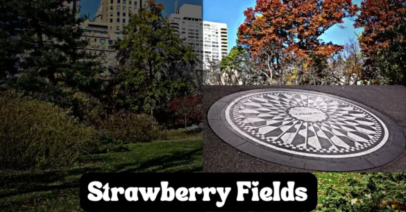 Strawberry Fields Central Park New York