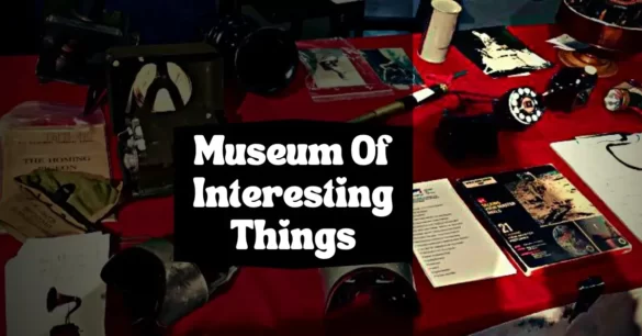 The Museum Of Interesting Things New York